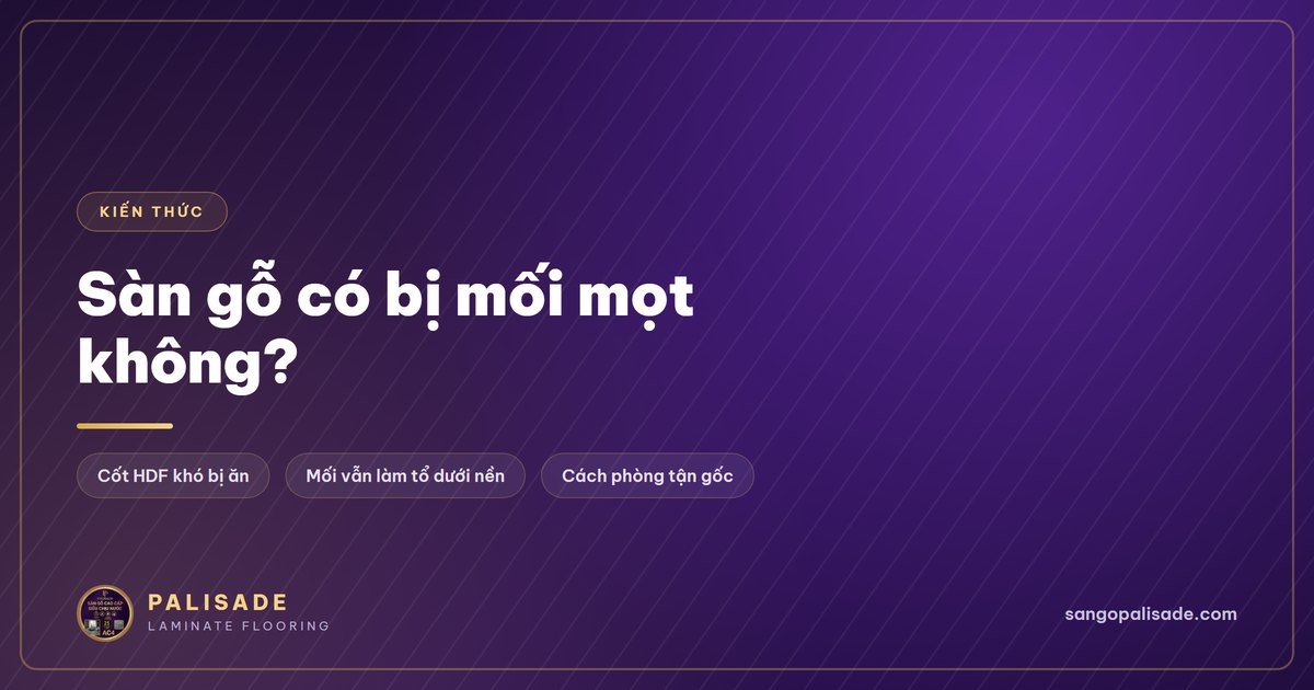 Sàn gỗ công nghiệp cốt HDF có bị mối mọt ăn không và cách phòng chống